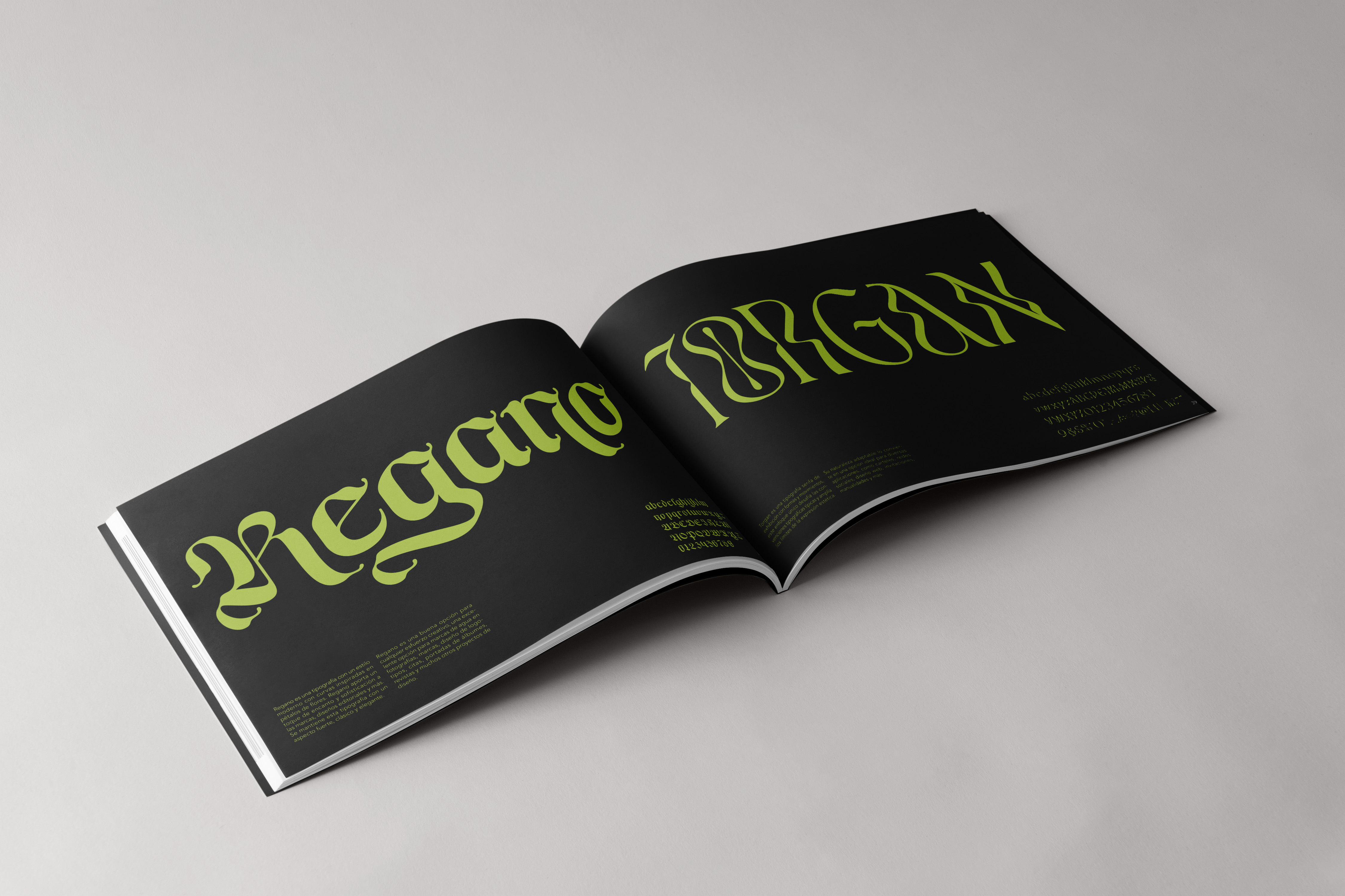 Project Illustration